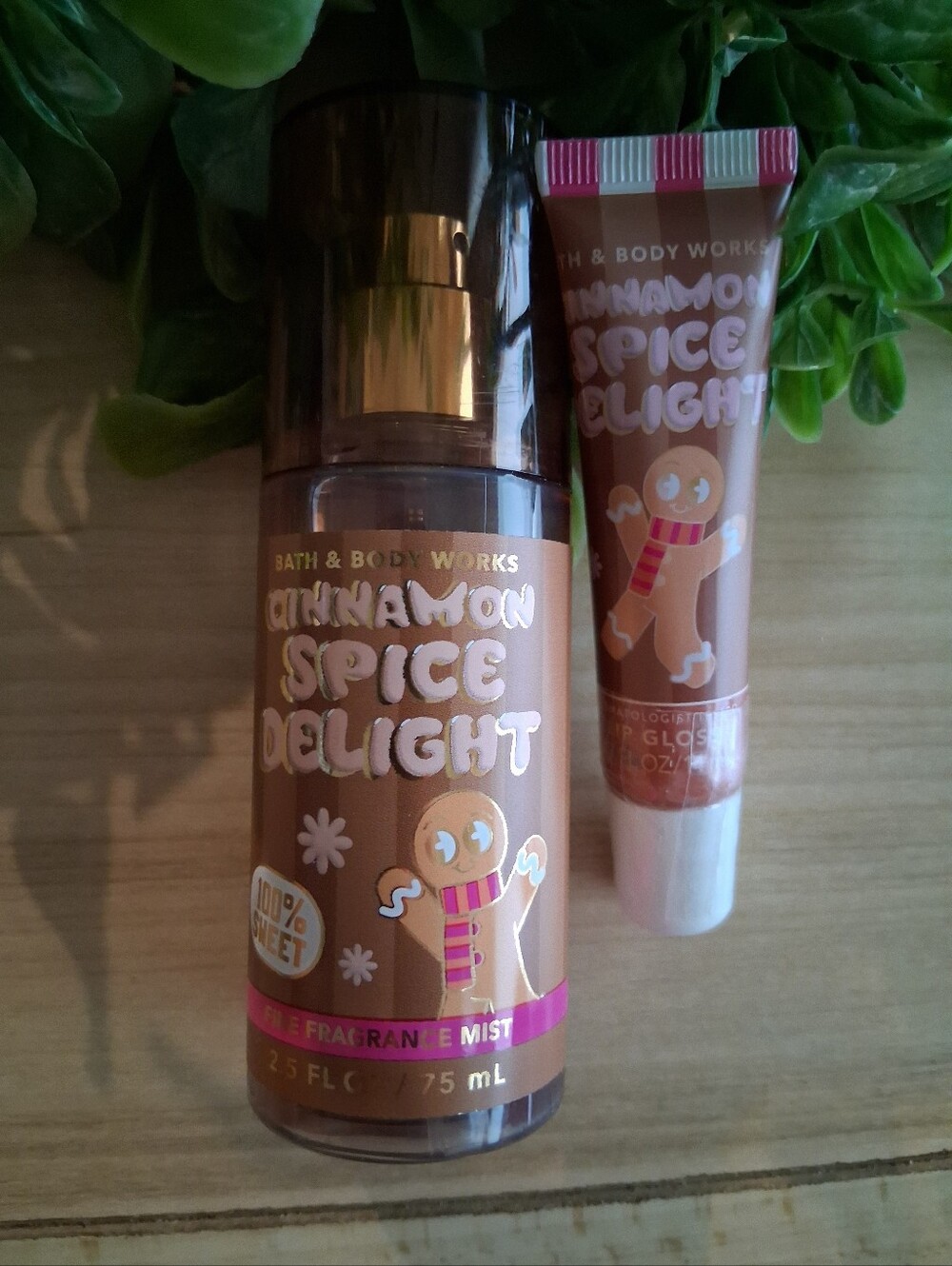 Bath & Body Works Cinnamon Spice Delight Lip Gloss & Fine Fragrance Mist NWT